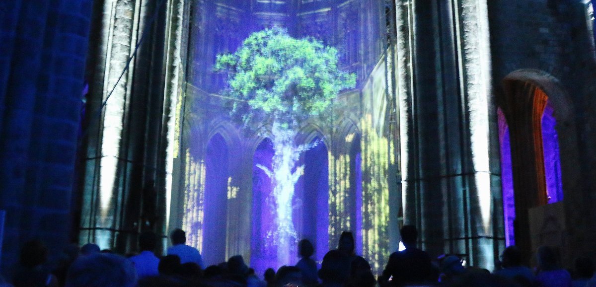 Le Mont-Saint-Michel. Nocturnes : un son et lumière pour les 1 000 ans de l'abbaye