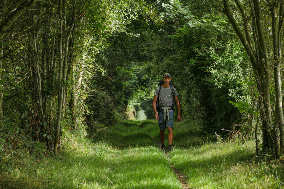 Un parcours bucolique avec la traversée de deux forêts, Villecartier et Fougères.
